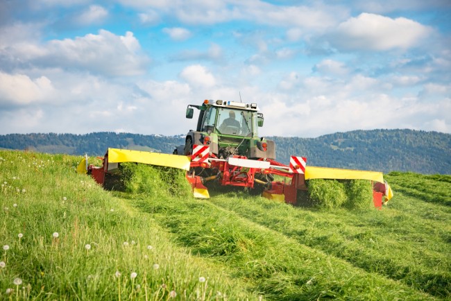 Trecker mäht Gras