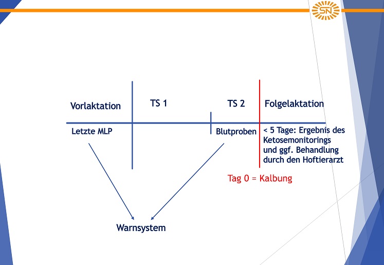 Grafik Übersicht Lebenszyklus und Maßnahmen