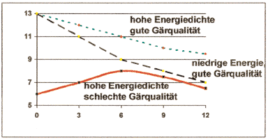 Zusammenhang Energiedichte und Gärqualität