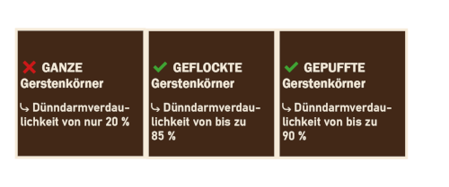 formen von gerstenkörnern