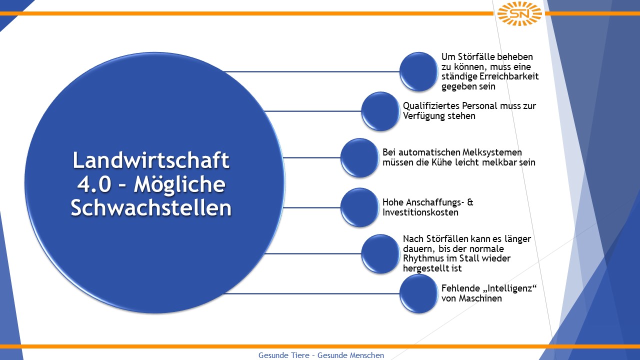 Grafik Schwachstellen