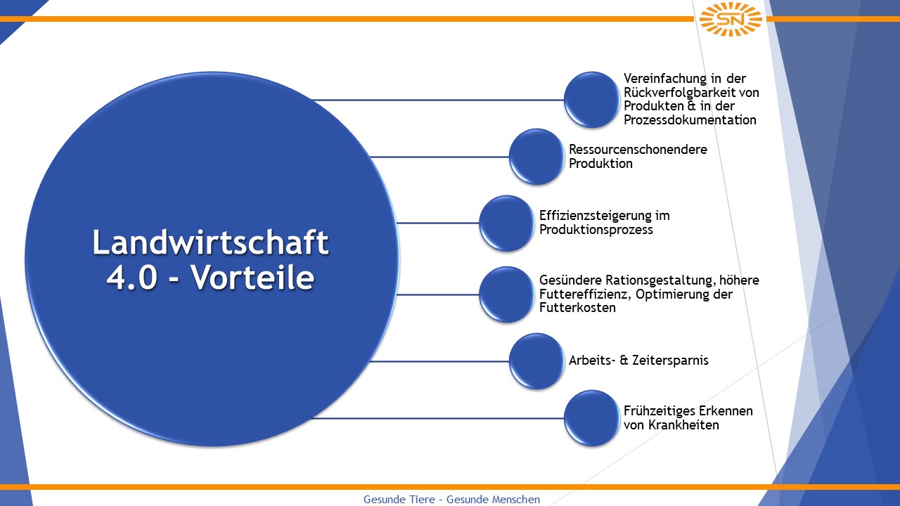 Grafik Vorteile