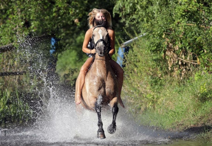 ritt durch wasser