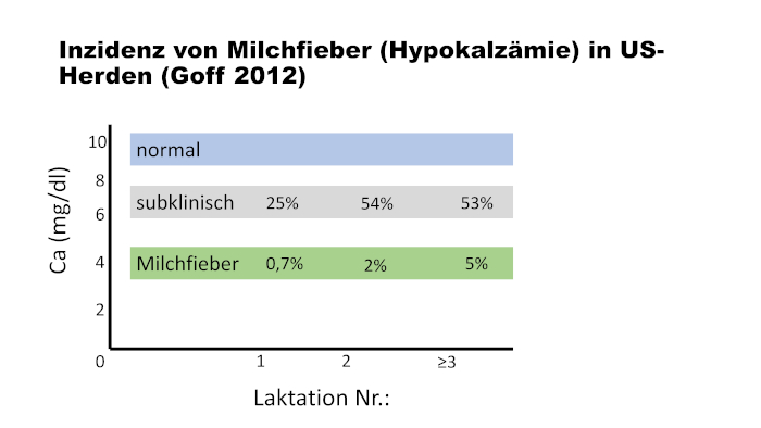 Inzidenz von Hypokalzämie nach Goff (2012)