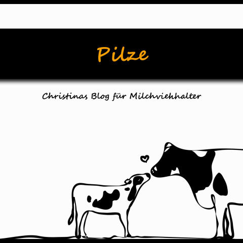 pilze