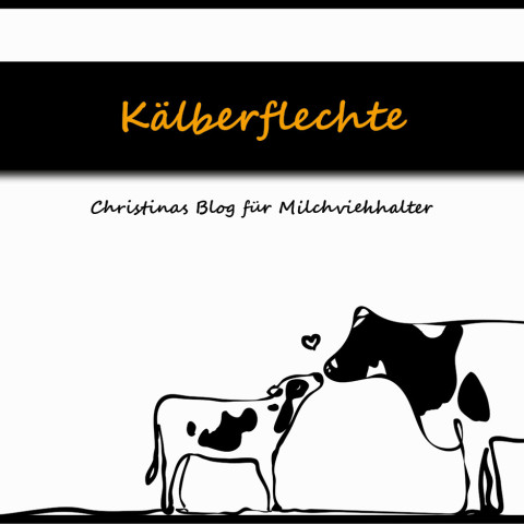 kälberflechte