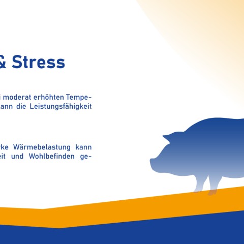 grafik hitzebelastung