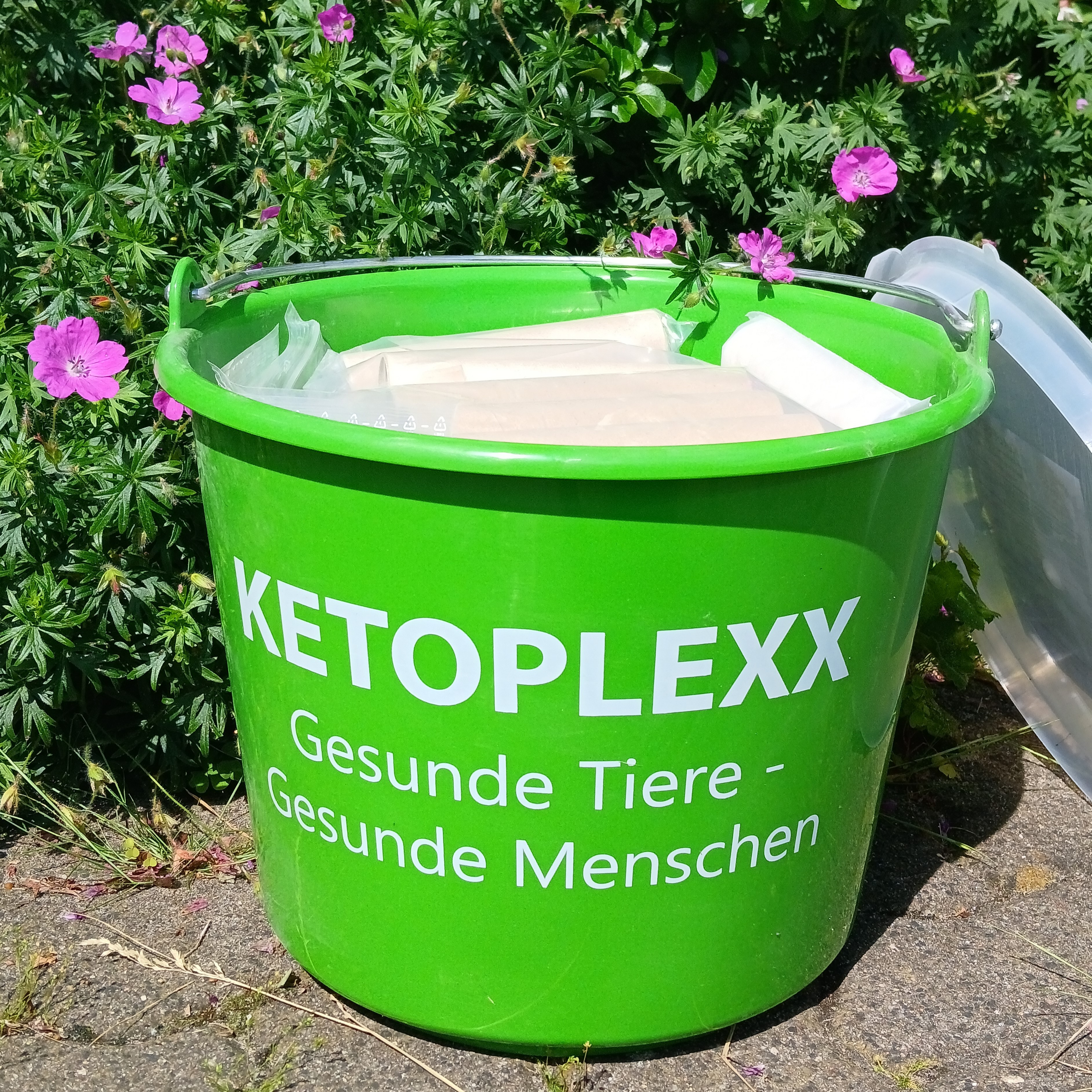 ketoplexx eimer