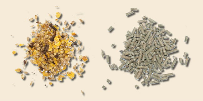 müsli oder pellets