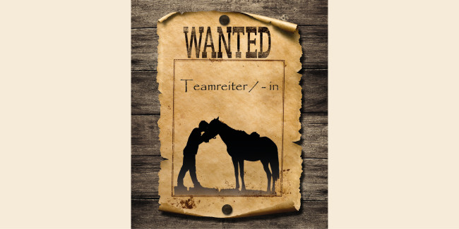 teamreiter gesucht