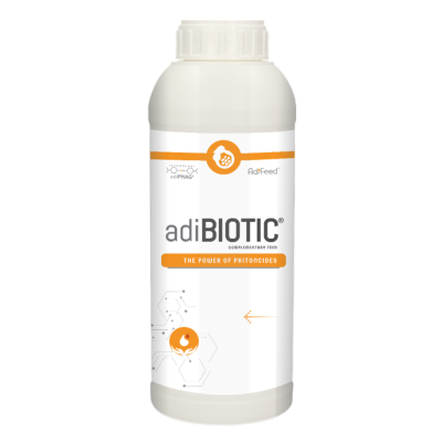 flasche adibiotic