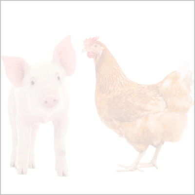 platzhalter adisal plus