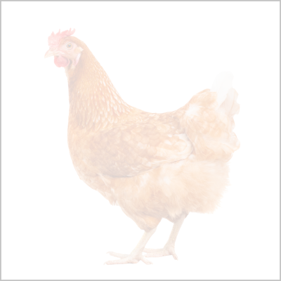 platzhalter geflügel