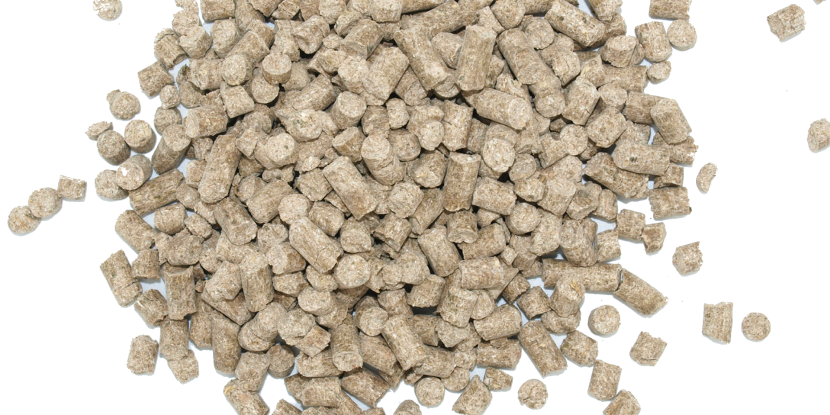 pellets ruppiner gastro-care