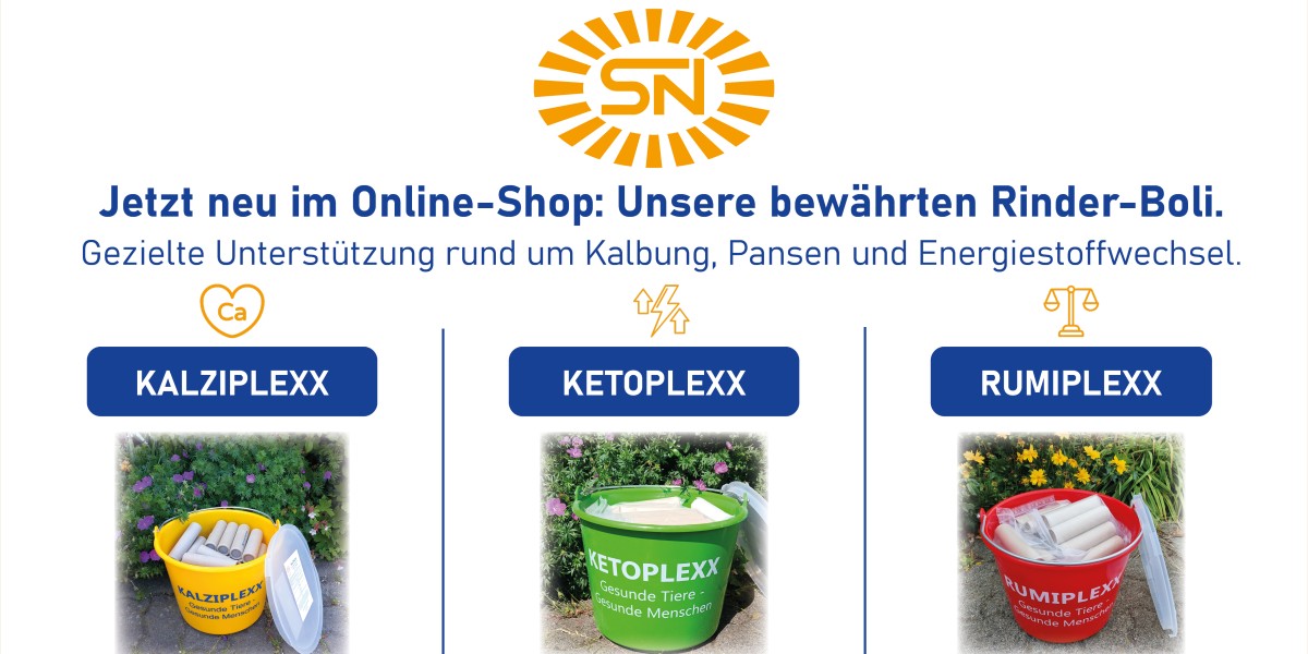 boli neu im online-shop