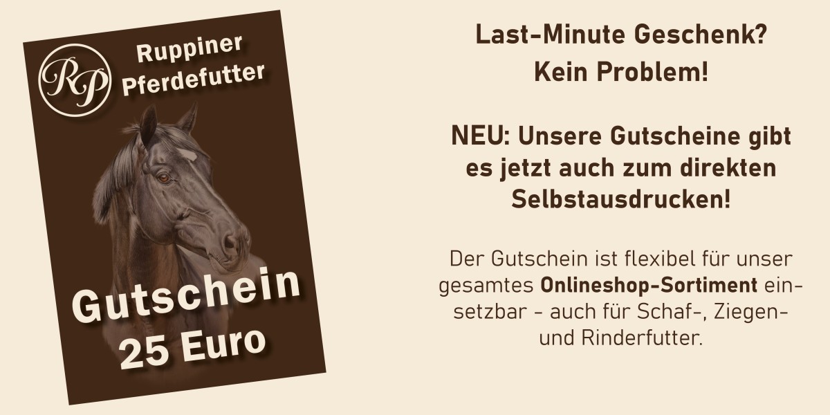 gutscheine jetzt auch zum selbstausdrucken