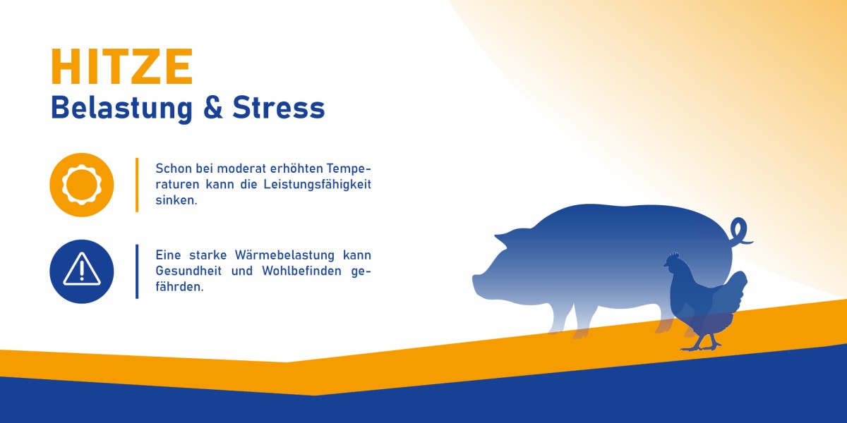 grafik hitzebelastung
