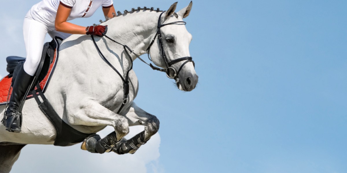 Springpferd mit Reiter