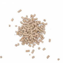 Ruppiner Biotin Pellets