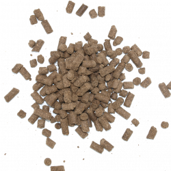 Ruppiner Zink Pellets